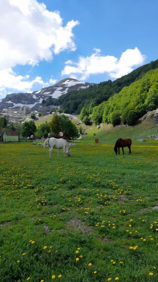 Katun Mokra Accommodation & Horseback Riding بودغوريتْسا المظهر الخارجي الصورة