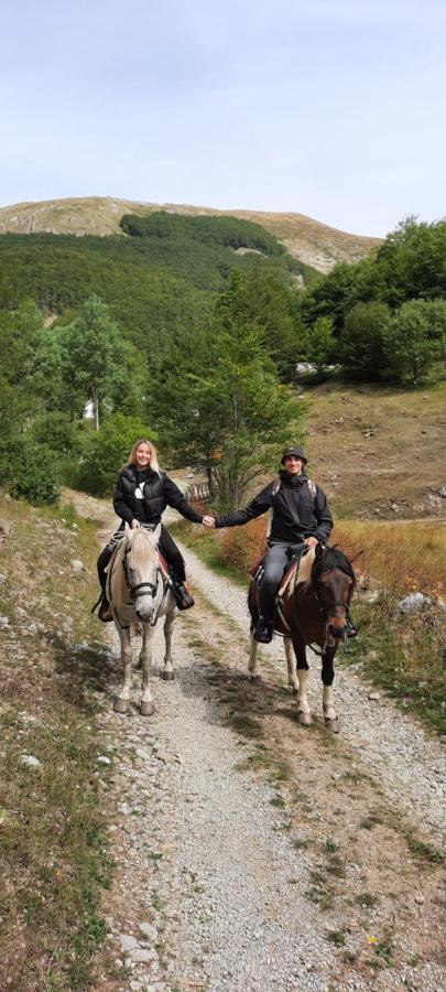 Katun Mokra Accommodation & Horseback Riding بودغوريتْسا المظهر الخارجي الصورة