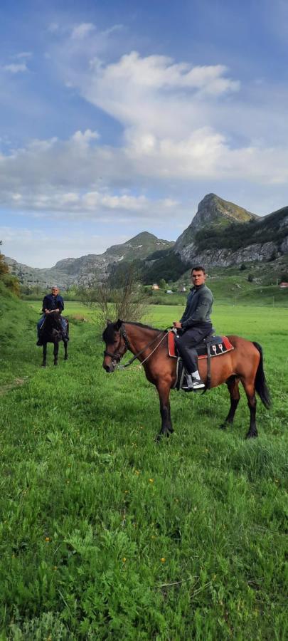 Katun Mokra Accommodation & Horseback Riding بودغوريتْسا المظهر الخارجي الصورة