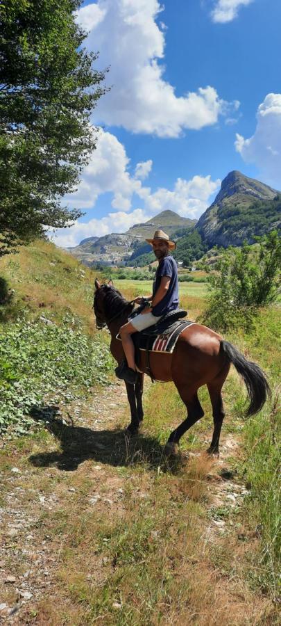 Katun Mokra Accommodation & Horseback Riding بودغوريتْسا المظهر الخارجي الصورة