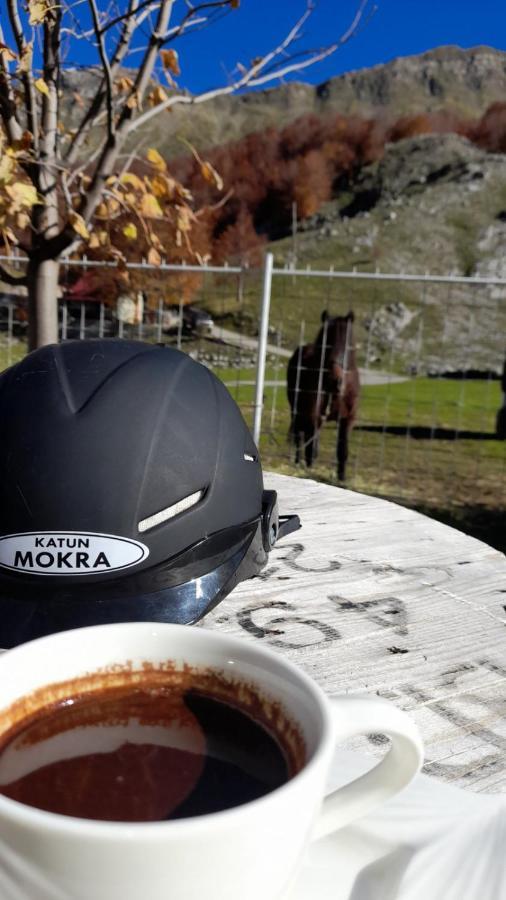 Katun Mokra Accommodation & Horseback Riding بودغوريتْسا المظهر الخارجي الصورة