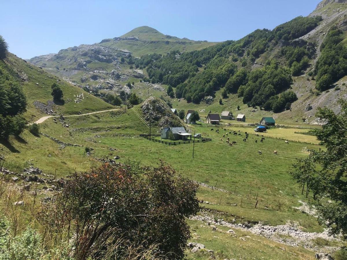 Katun Mokra Accommodation & Horseback Riding بودغوريتْسا المظهر الخارجي الصورة