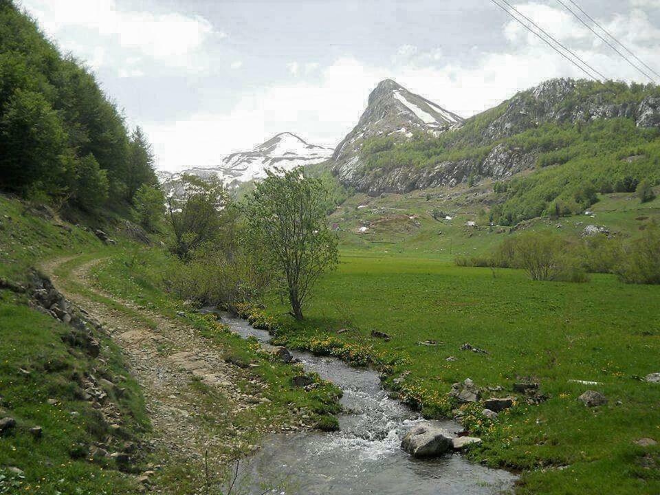 Katun Mokra Accommodation & Horseback Riding بودغوريتْسا المظهر الخارجي الصورة